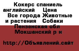 Кокерс спаниель английский  › Цена ­ 4 500 - Все города Животные и растения » Собаки   . Пензенская обл.,Мокшанский р-н